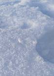 20230119_105816 (Large).jpg (281150 bytes)